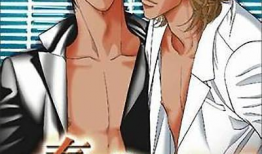 拥抱春天的罗曼史动漫,动漫中的浪漫邂逅与青春旋律